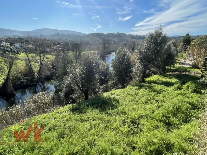 Terreno Agricola ou Rústico para Venda em Sarzedo Foto 1