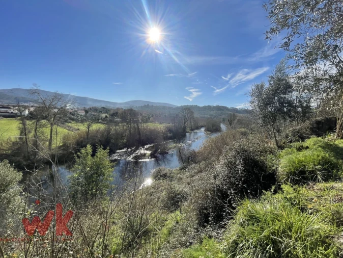Terreno Agricola ou Rústico para Venda em Sarzedo Foto 2