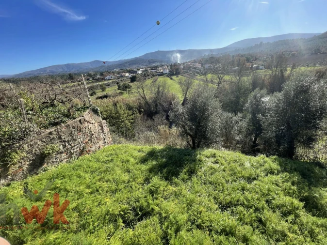 Terreno Agricola ou Rústico para Venda em Sarzedo Foto 3