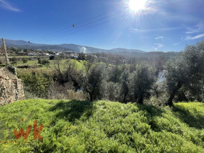 Terreno Agricola ou Rústico para Venda em Sarzedo Foto 4