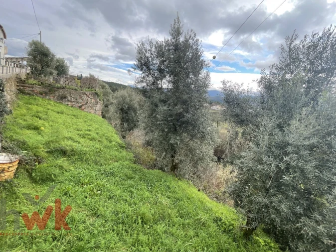 Terreno Agricola ou Rústico para Venda em Sarzedo Foto 7