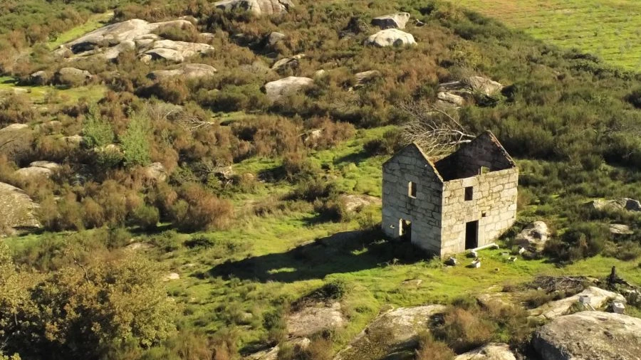 Moradia T3 para Venda em Lagos da Beira e Lajeosa