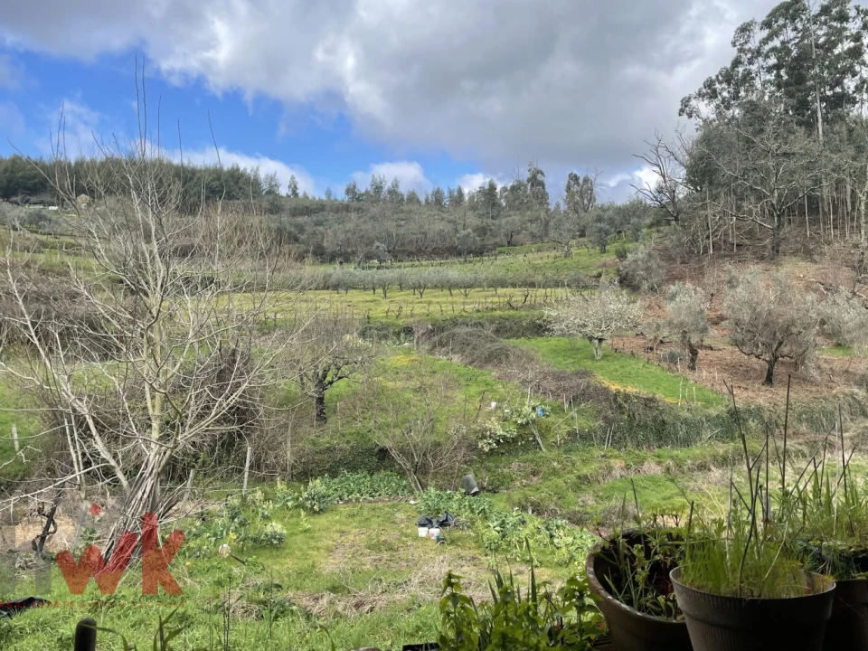 Moradia T2 para Venda em Lagos da Beira e Lajeosa Foto 2