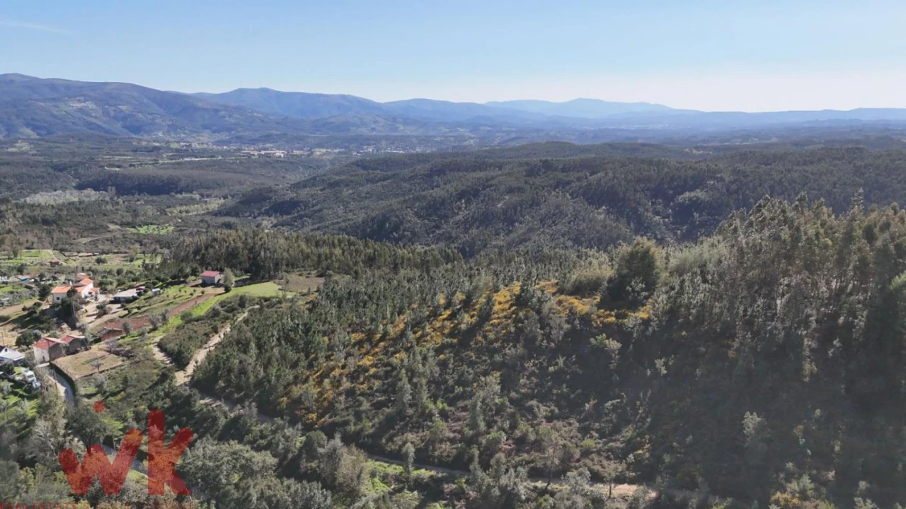 Moradia para Venda em Côja e Barril de Alva Foto 22