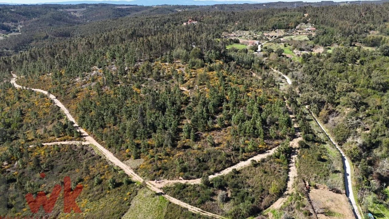 Moradia para Venda em Côja e Barril de Alva Foto 7