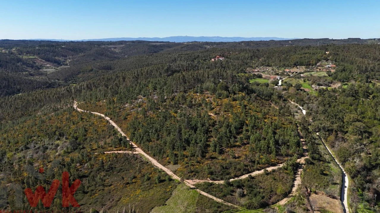 Moradia para Venda em Côja e Barril de Alva Foto 11