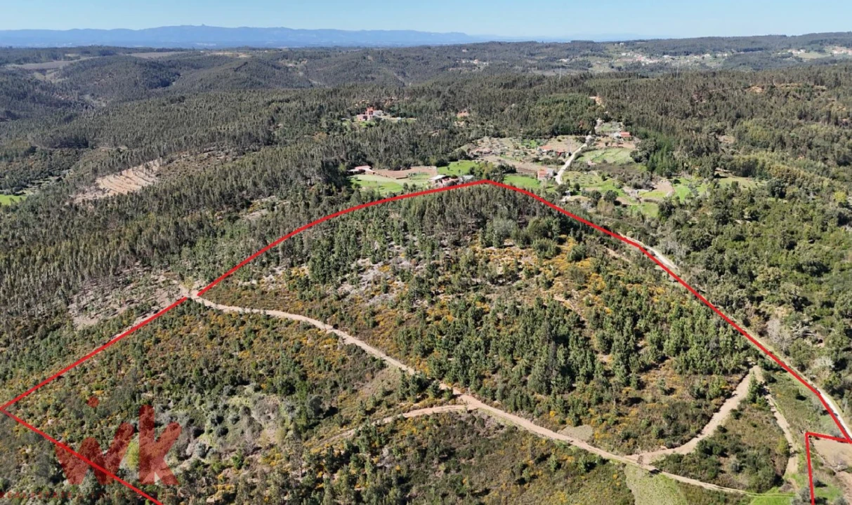 Moradia para Venda em Côja e Barril de Alva Foto 5