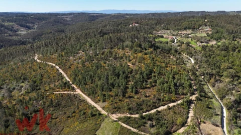 Moradia para Venda em Côja e Barril de Alva