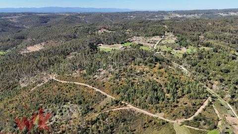 Moradia para Venda em Côja e Barril de Alva