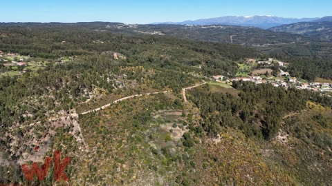Moradia para Venda em Côja e Barril de Alva