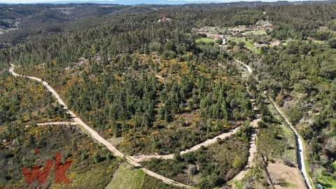 Moradia para Venda em Côja e Barril de Alva