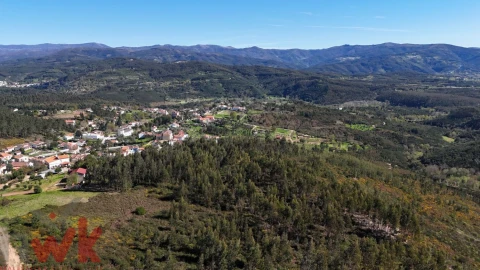 Moradia para Venda em Côja e Barril de Alva