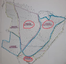 Moradia para Venda em Côja e Barril de Alva