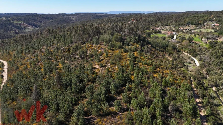 Moradia para Venda em Côja e Barril de Alva Foto 5