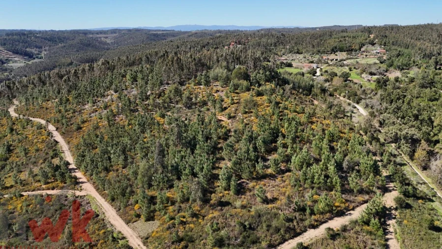 Moradia para Venda em Côja e Barril de Alva Foto 6