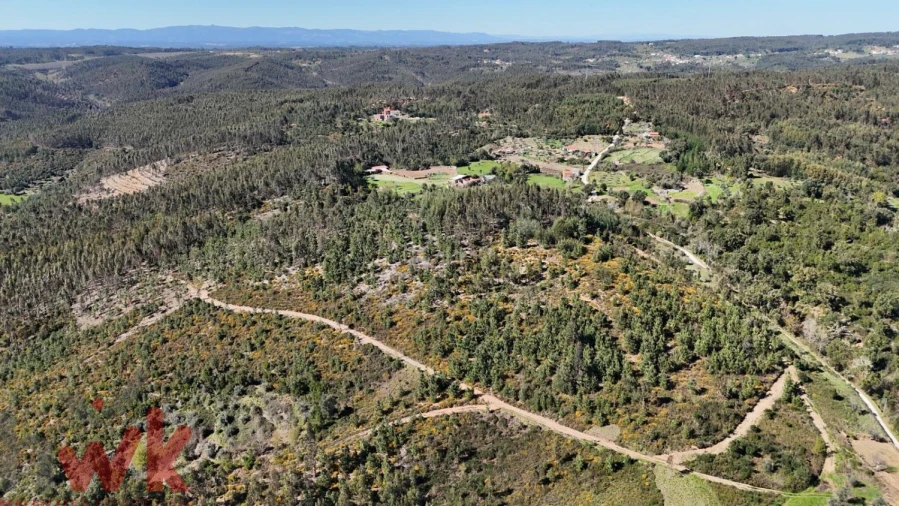 Moradia para Venda em Côja e Barril de Alva Foto 14