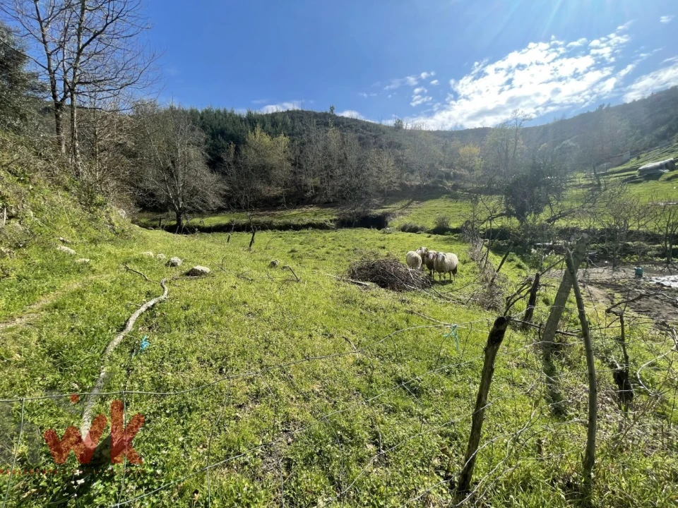 Moradia para Venda em Sandomil Foto 18