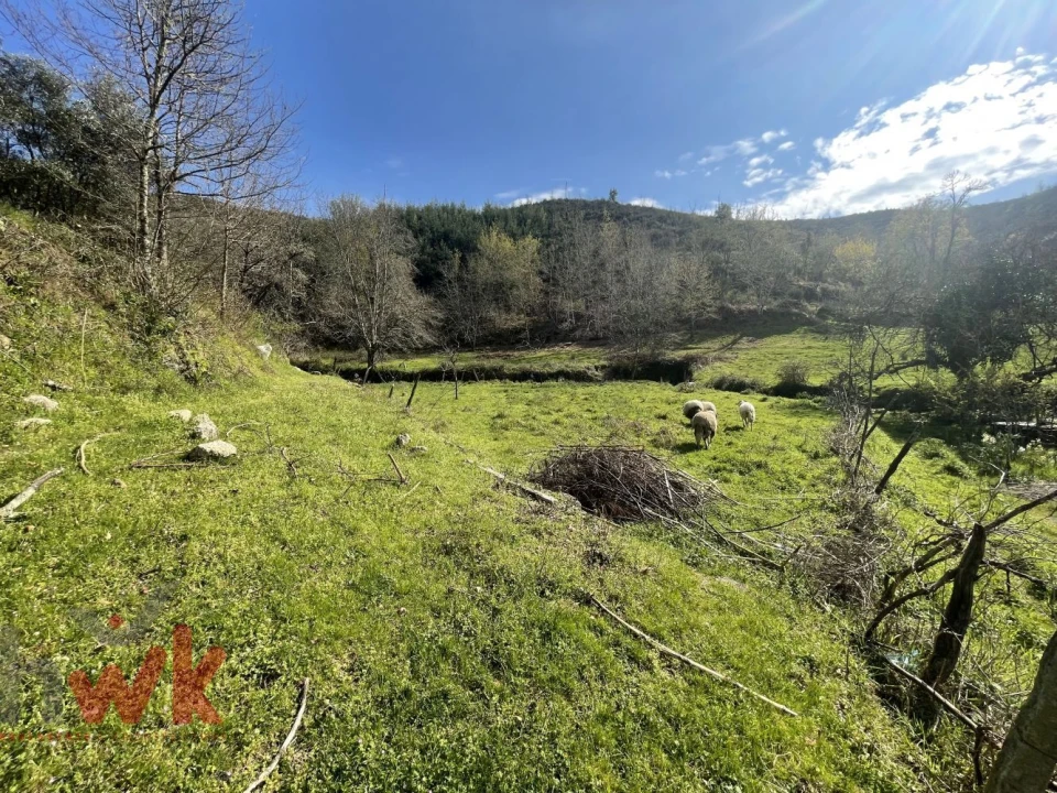 Moradia para Venda em Sandomil Foto 19