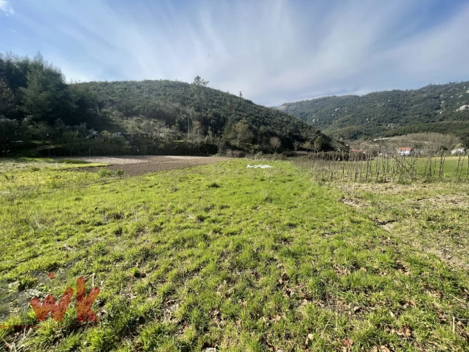 Moradia para Venda em Sandomil Foto 15