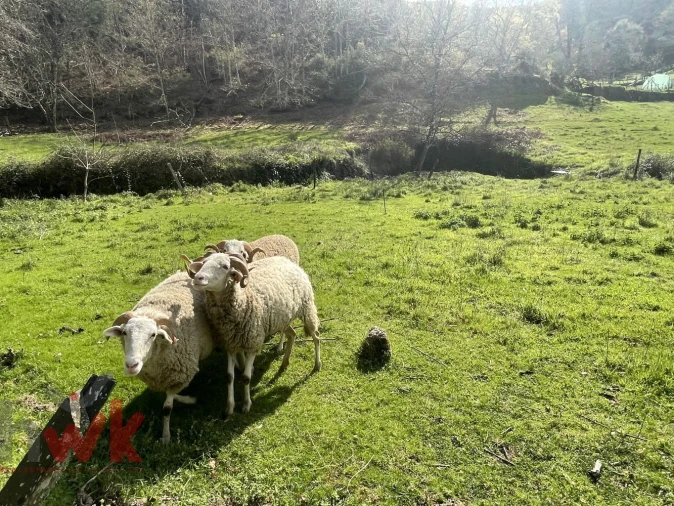 Moradia para Venda em Sandomil Foto 21