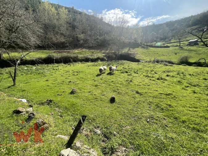 Moradia para Venda em Sandomil Foto 22