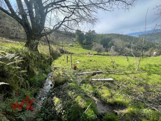 Moradia para Venda em Sandomil Foto 3