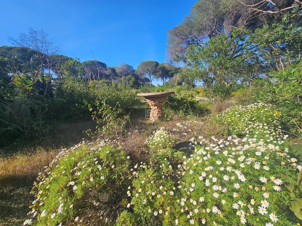 Quinta para Venda em Almancil Foto 19