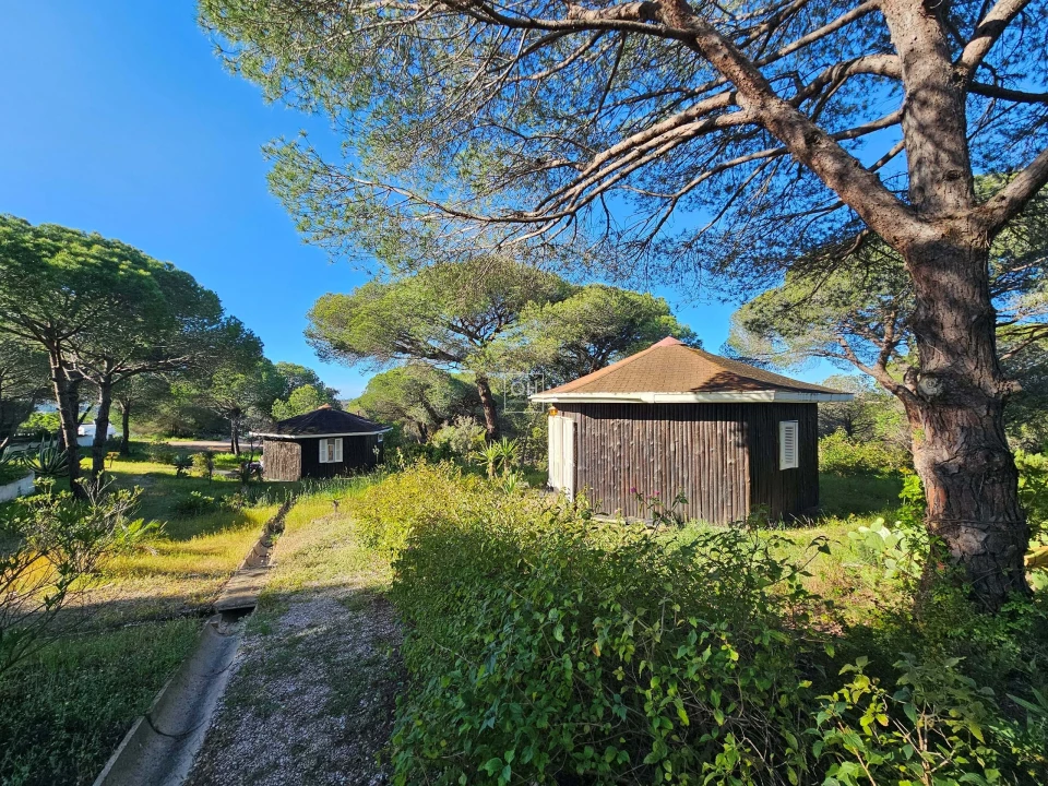 Quinta para Venda em Almancil Foto 24