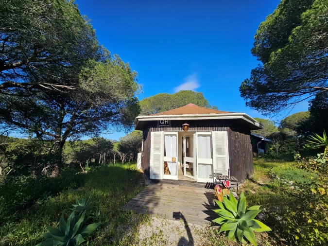 Quinta para Venda em Almancil Foto 22