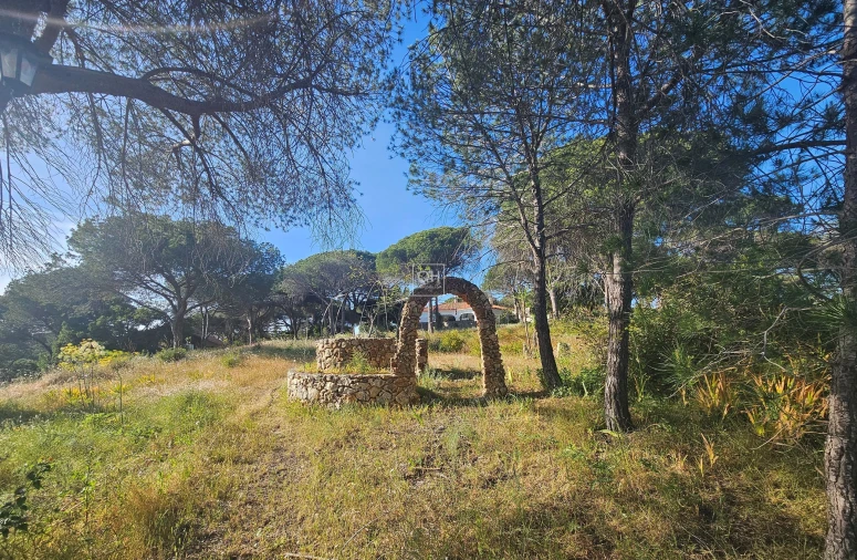 Quinta para Venda em Almancil Foto 16