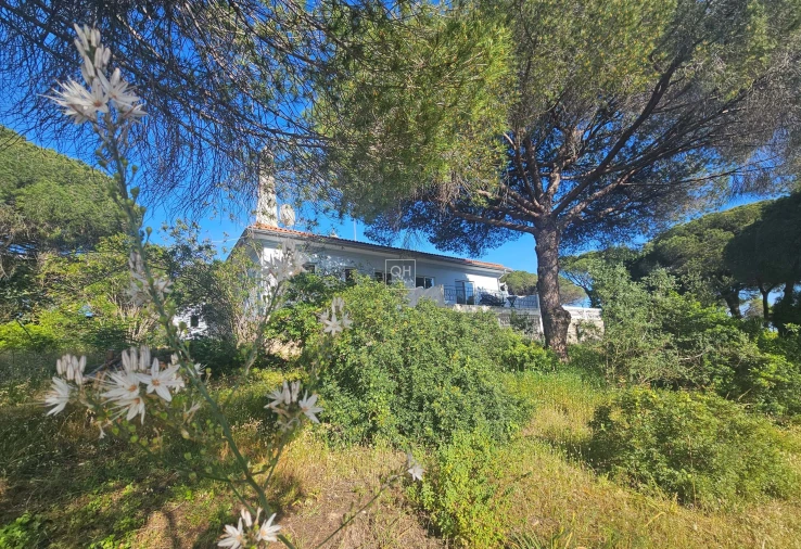 Quinta para Venda em Almancil Foto 15