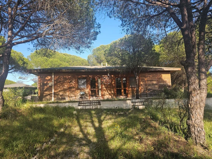 Quinta para Venda em Almancil Foto 27