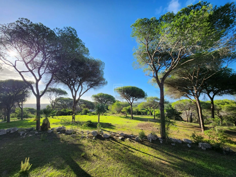 Quinta para Venda em Almancil Foto 1