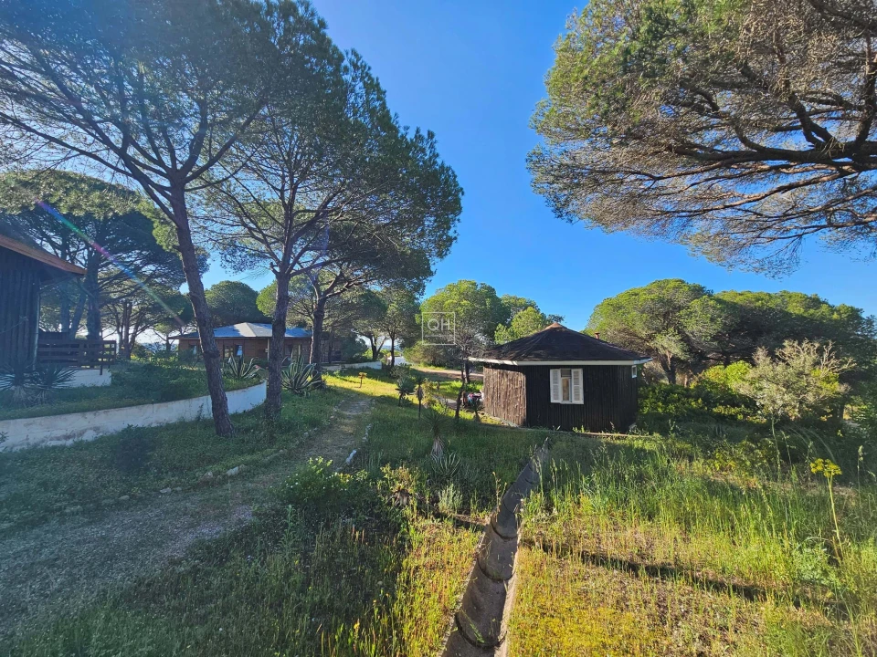 Quinta para Venda em Almancil Foto 23