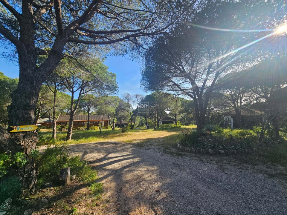 Quinta para Venda em Almancil Foto 25