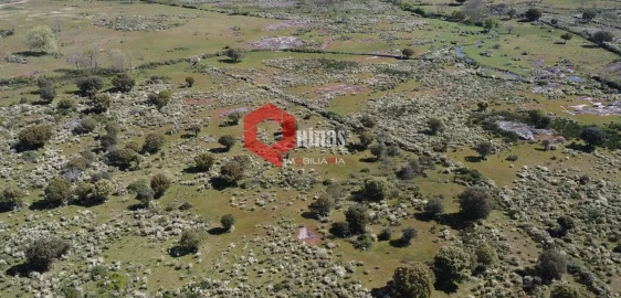 Terreno Agricola ou Rústico para Venda em Malpartida e Vale de Coelha