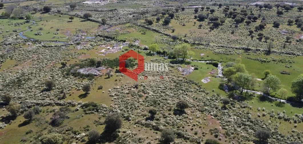 Terreno Agricola ou Rústico para Venda em Malpartida e Vale de Coelha Foto 3