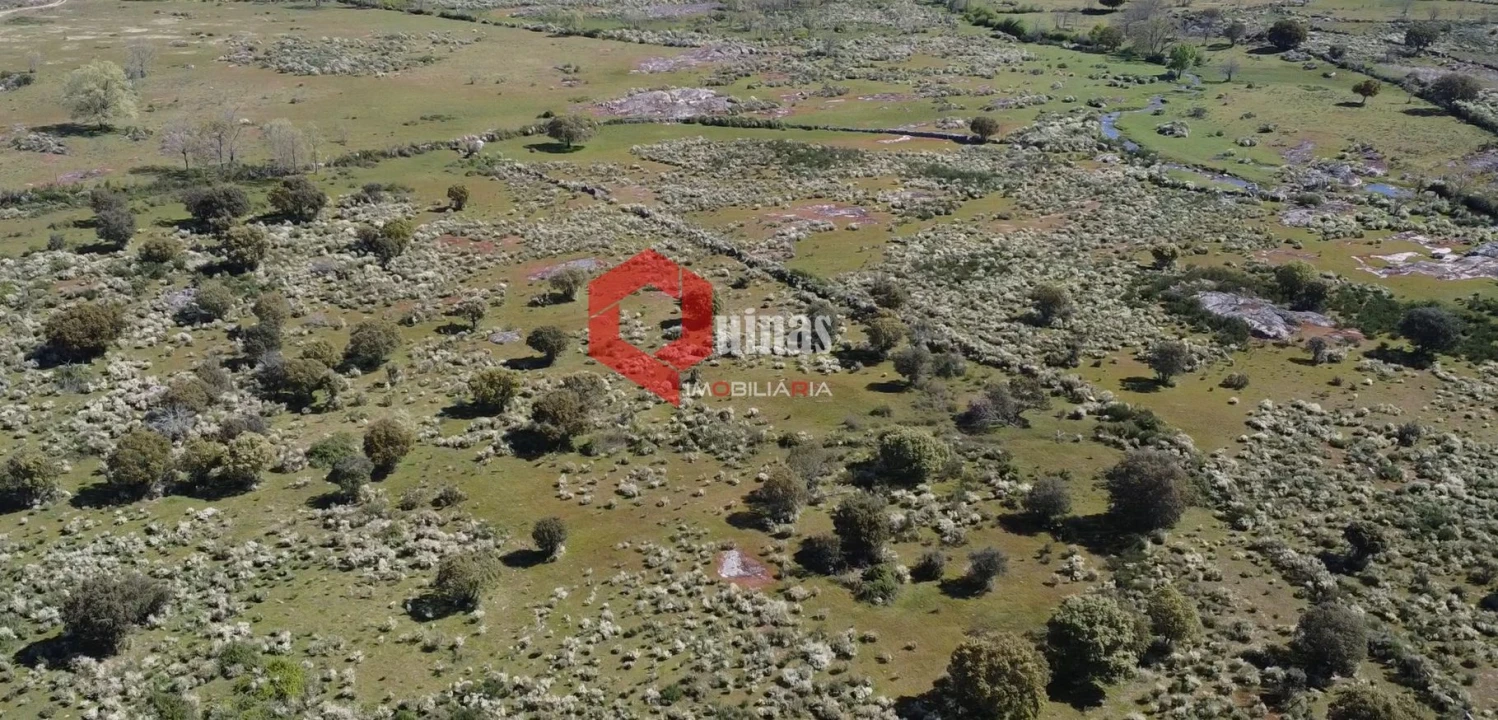Terreno Agricola ou Rústico para Venda em Malpartida e Vale de Coelha Foto 2