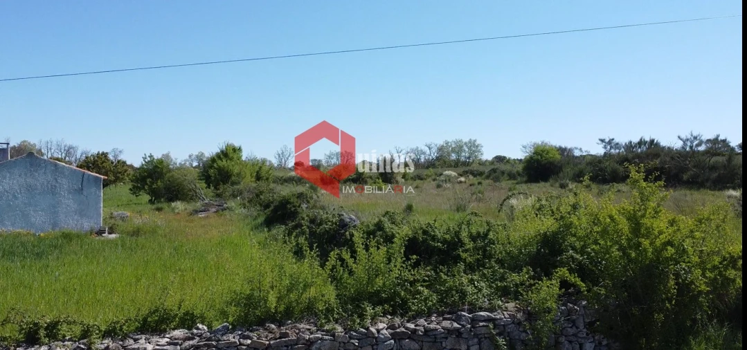 Terreno Agricola ou Rústico para Venda em Malpartida e Vale de Coelha Foto 3