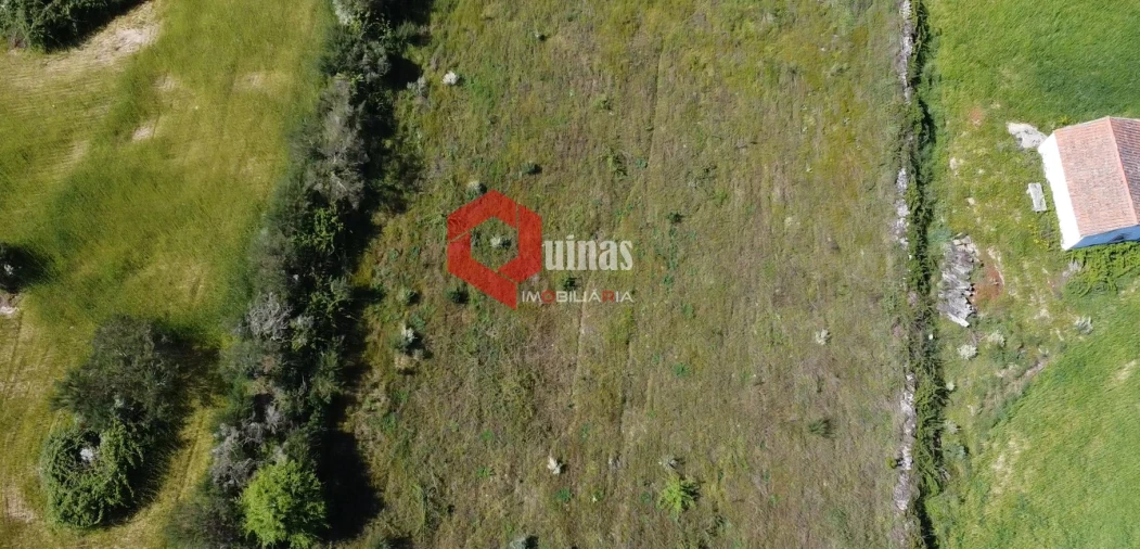 Terreno Agricola ou Rústico para Venda em Malpartida e Vale de Coelha Foto 5