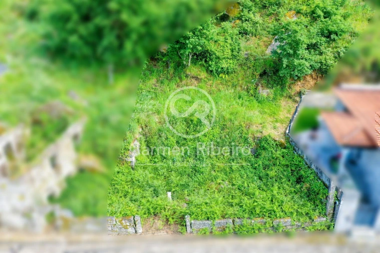 Terreno para Venda em Antime e Silvares (São Clemente) Foto 15