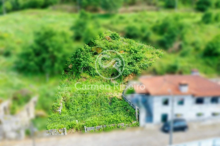 Terreno para Venda em Antime e Silvares (São Clemente) Foto 14