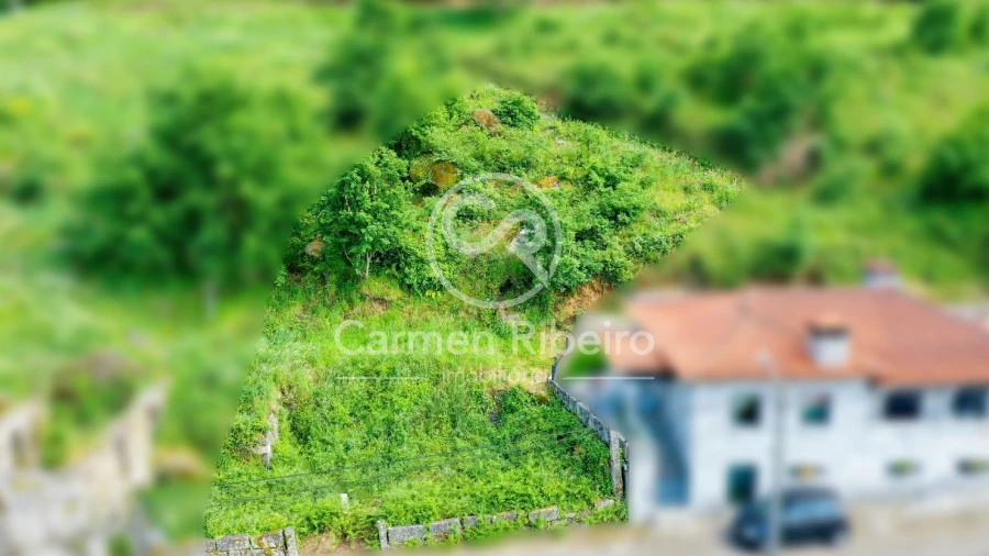 Terreno para Venda em Antime e Silvares (São Clemente)