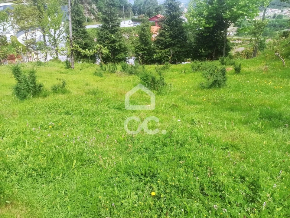 Terreno para Venda em Mesão Frio Foto 1