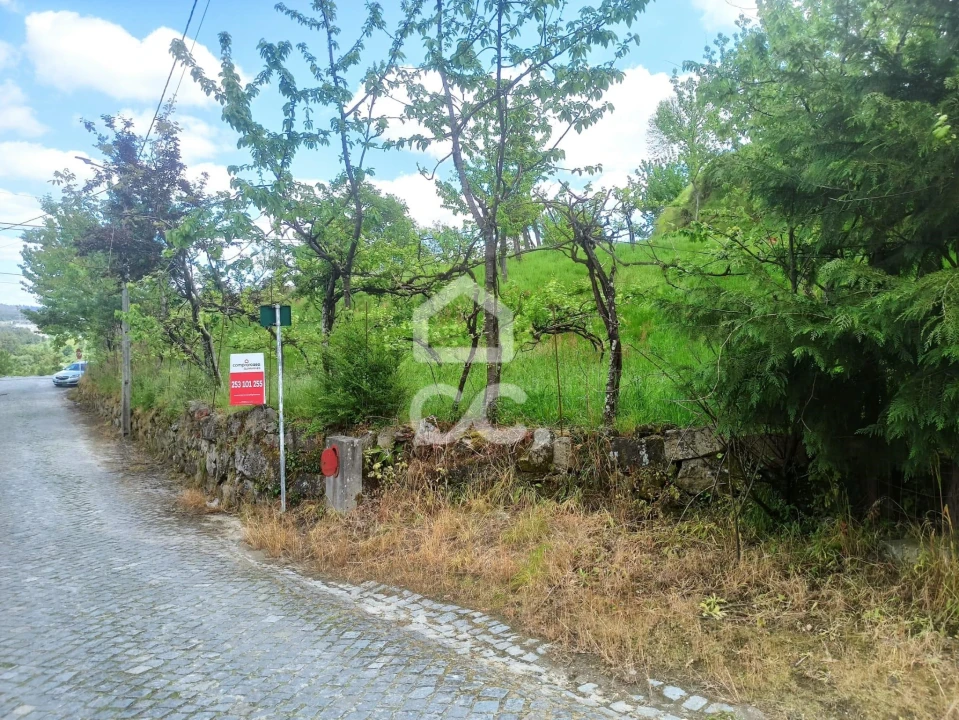 Terreno para Venda em Mesão Frio Foto 15