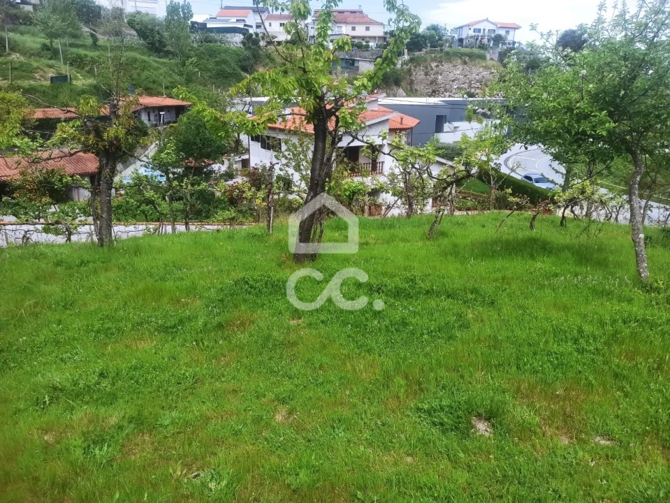 Terreno para Venda em Mesão Frio Foto 2