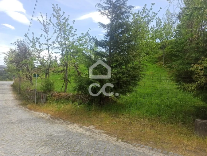 Terreno para Venda em Mesão Frio Foto 12