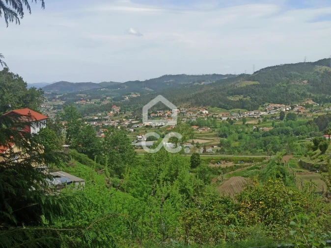 Terreno para Venda em Mesão Frio Foto 5