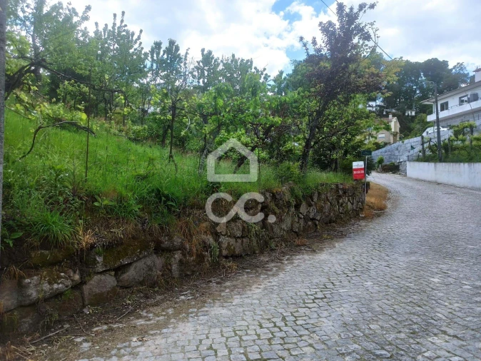 Terreno para Venda em Mesão Frio Foto 17