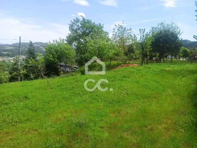 Terreno para Venda em Mesão Frio Foto 3